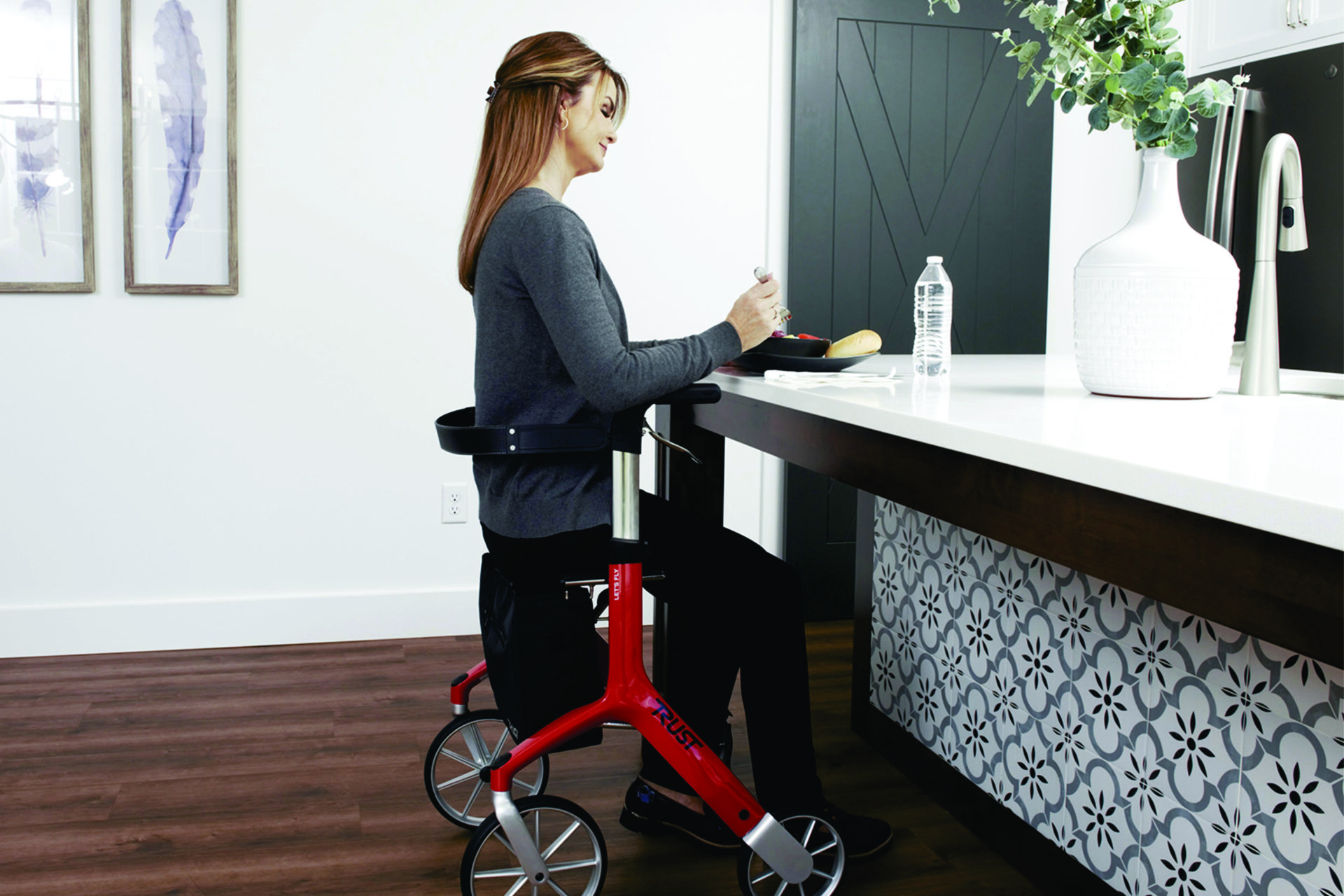 Distributor of Mobility Equipment